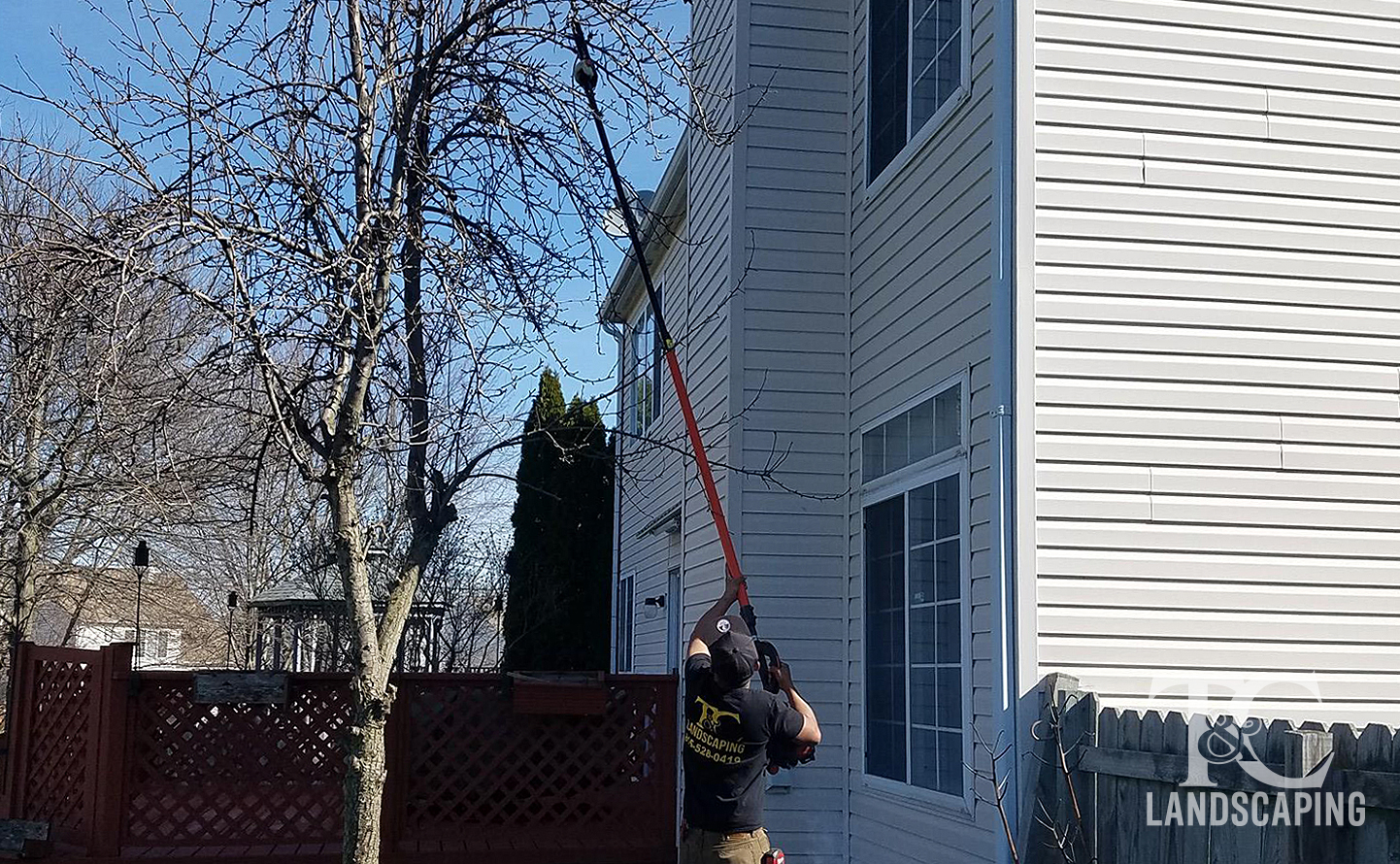 T&C Landscaping Services-Tree Trimming