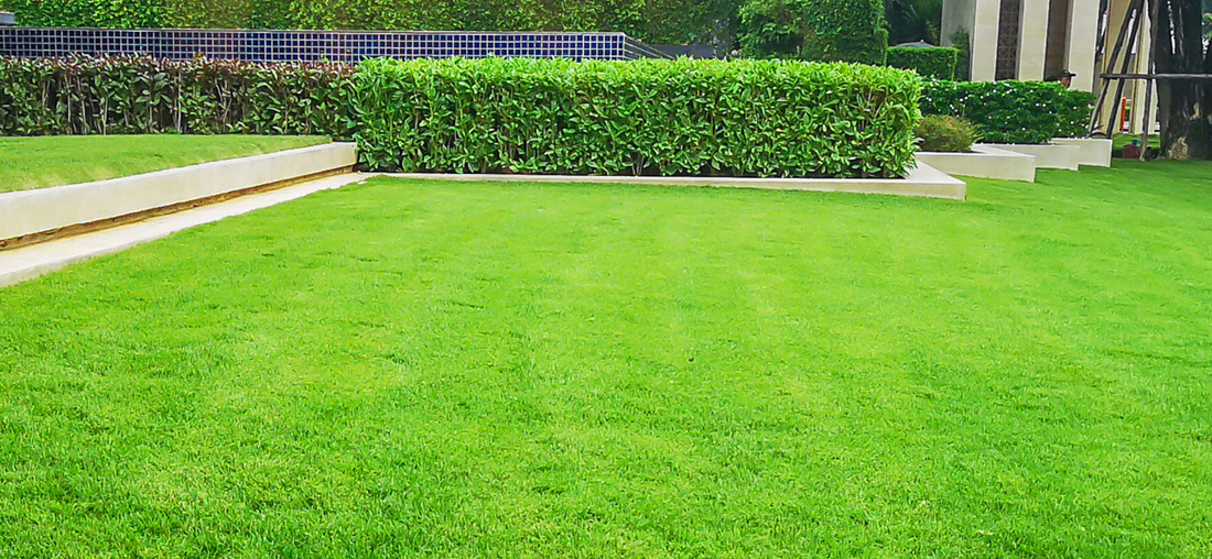 TC Landscaping Services - Lawn Care